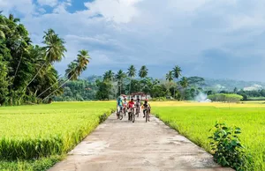 quand partir au Sri Lanka
