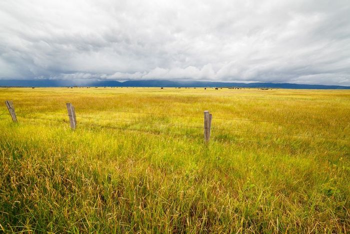 comment connaître le propriétaire d'un terrain