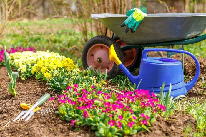 comment décorer son jardin avec des fleurs